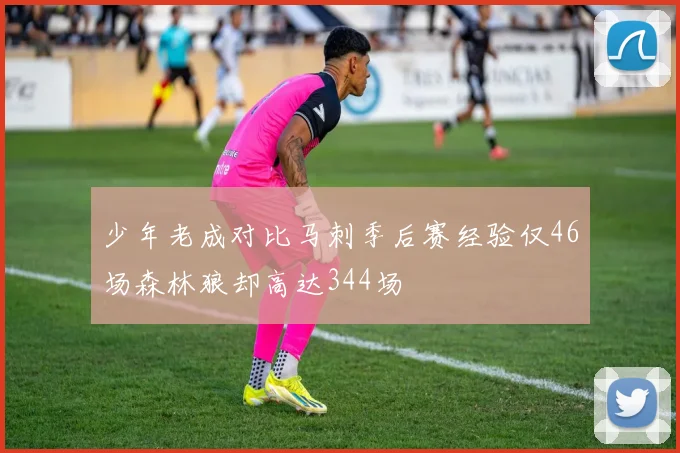 少年老成对比马刺季后赛经验仅46场森林狼却高达344场