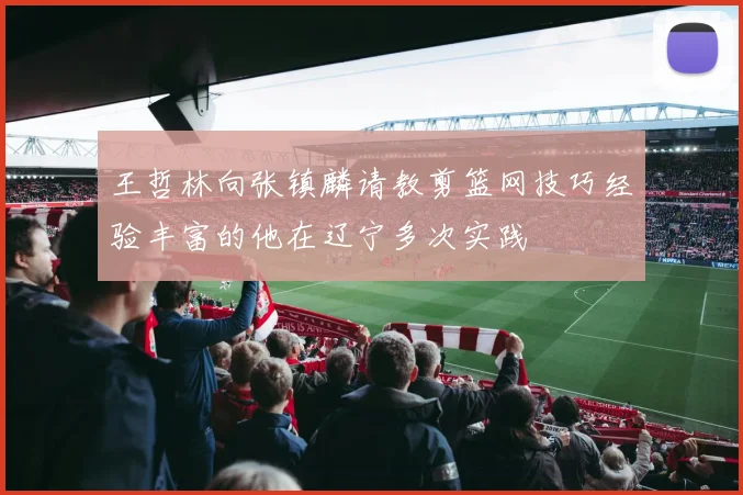 王哲林向张镇麟请教剪篮网技巧经验丰富的他在辽宁多次实践